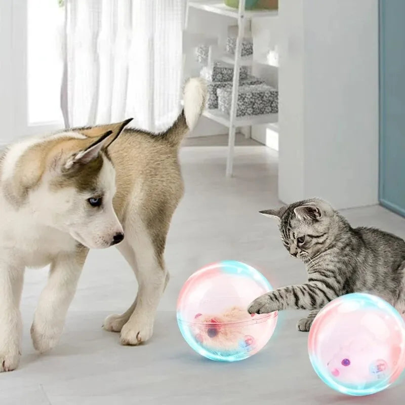 PlayJoy | Interactieve spelbal voor katten en honden tegen verveling en stress