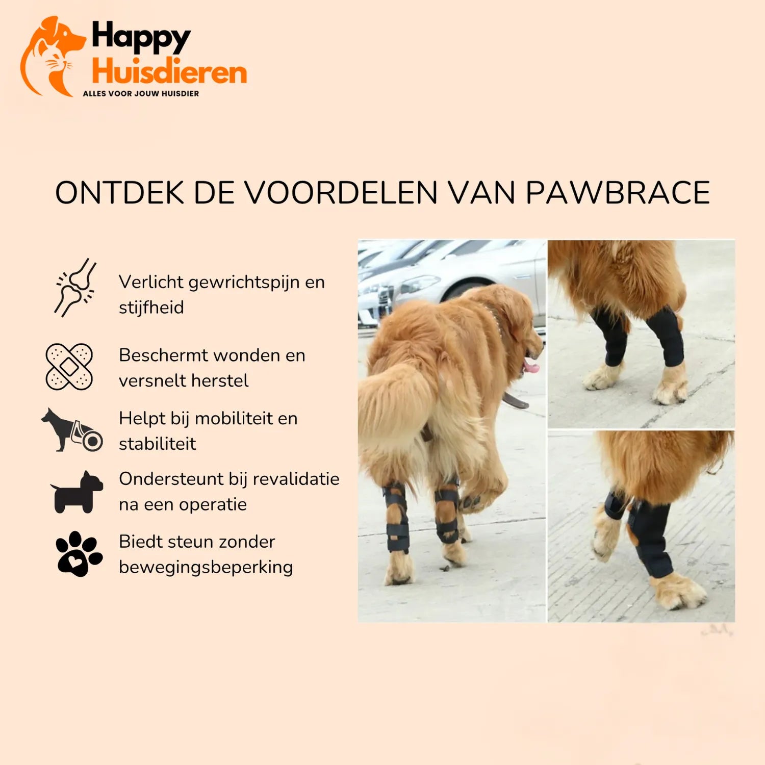PootSteun Hondenbrace | Ondersteunende Orthopedische Pootbrace voor Honden