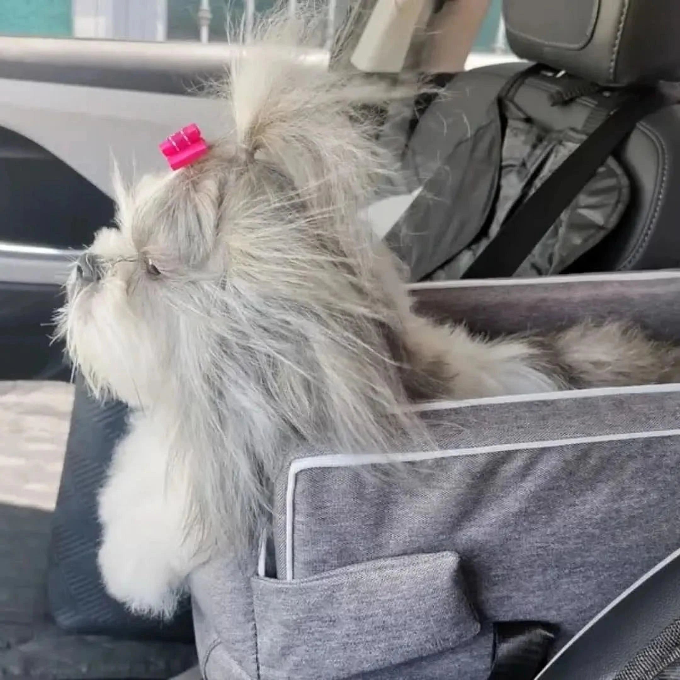 PuppyTrek Drager | Draagbare Hondenmand voor Onderweg