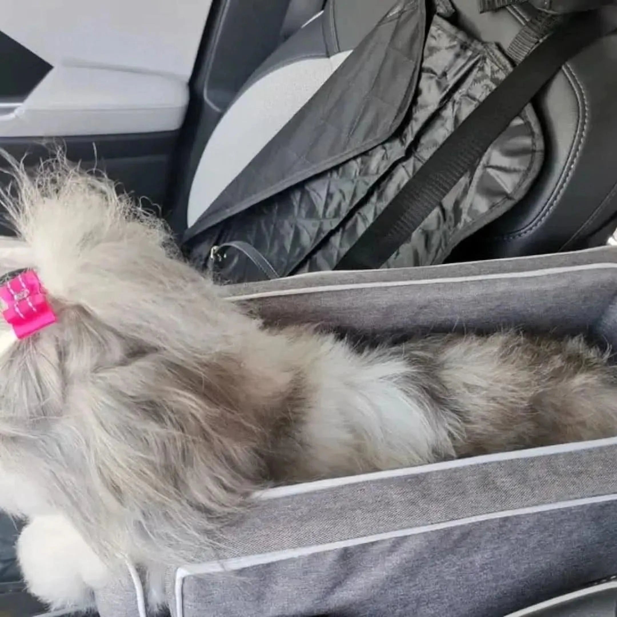 PuppyTrek Drager | Draagbare Hondenmand voor Onderweg