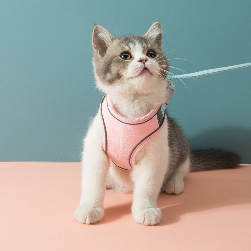 PurrSafe Harness Set | Katten tuigje ontsnappingsvrij met lijn