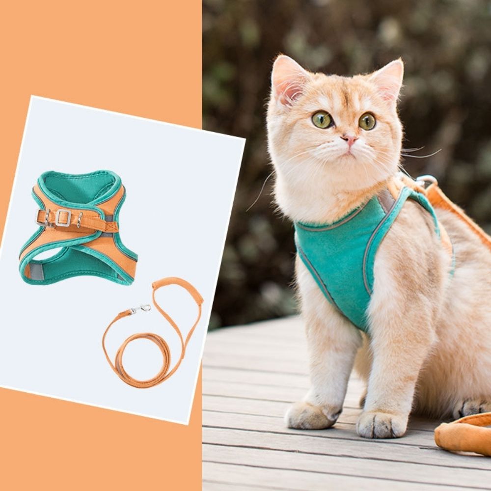 PurrSafe Harness Set | Katten tuigje ontsnappingsvrij met lijn