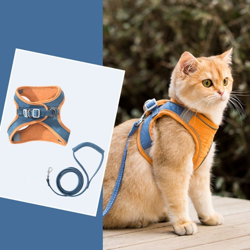 PurrSafe Harness Set | Katten tuigje ontsnappingsvrij met lijn