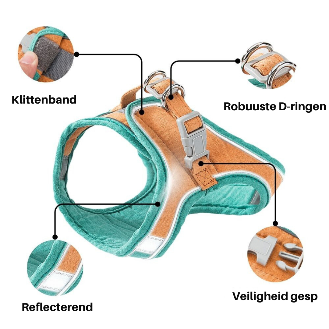 PurrSafe Harness Set | Katten tuigje ontsnappingsvrij met lijn