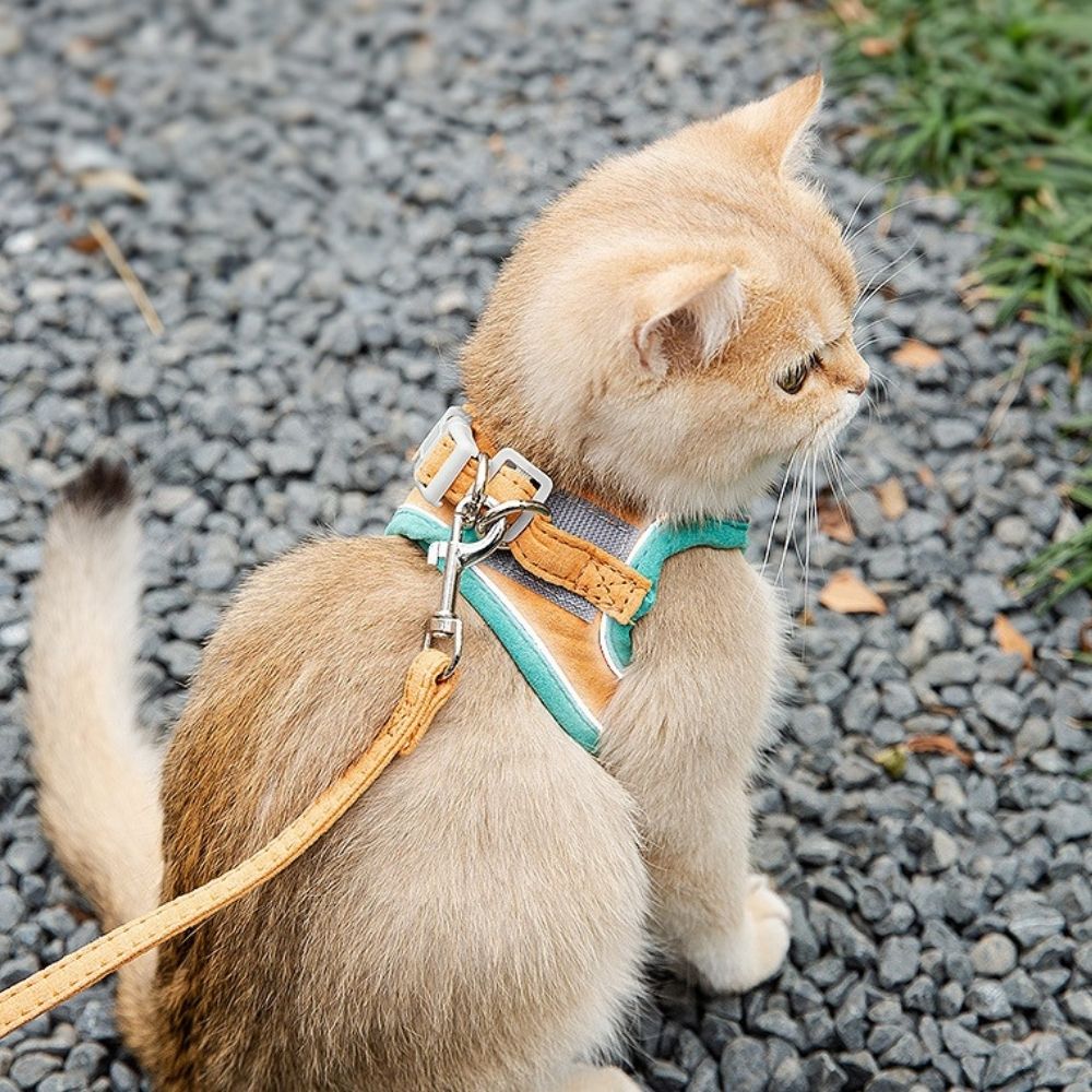 PurrSafe Harness Set | Katten tuigje ontsnappingsvrij met lijn