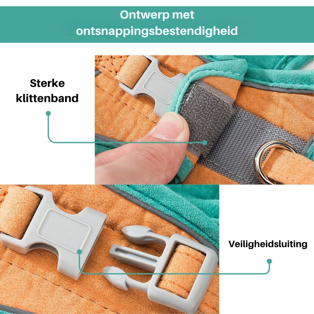 PurrSafe Harness Set | Katten tuigje ontsnappingsvrij met lijn