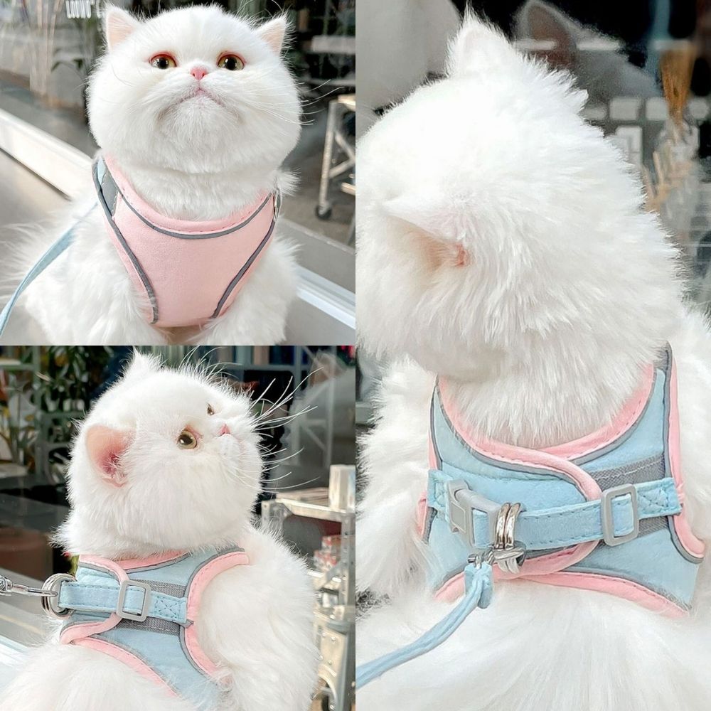 PurrSafe Harness Set | Katten tuigje ontsnappingsvrij met lijn