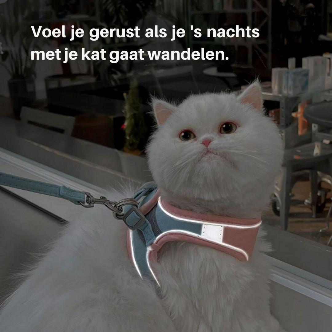 PurrSafe Harness Set | Katten tuigje ontsnappingsvrij met lijn