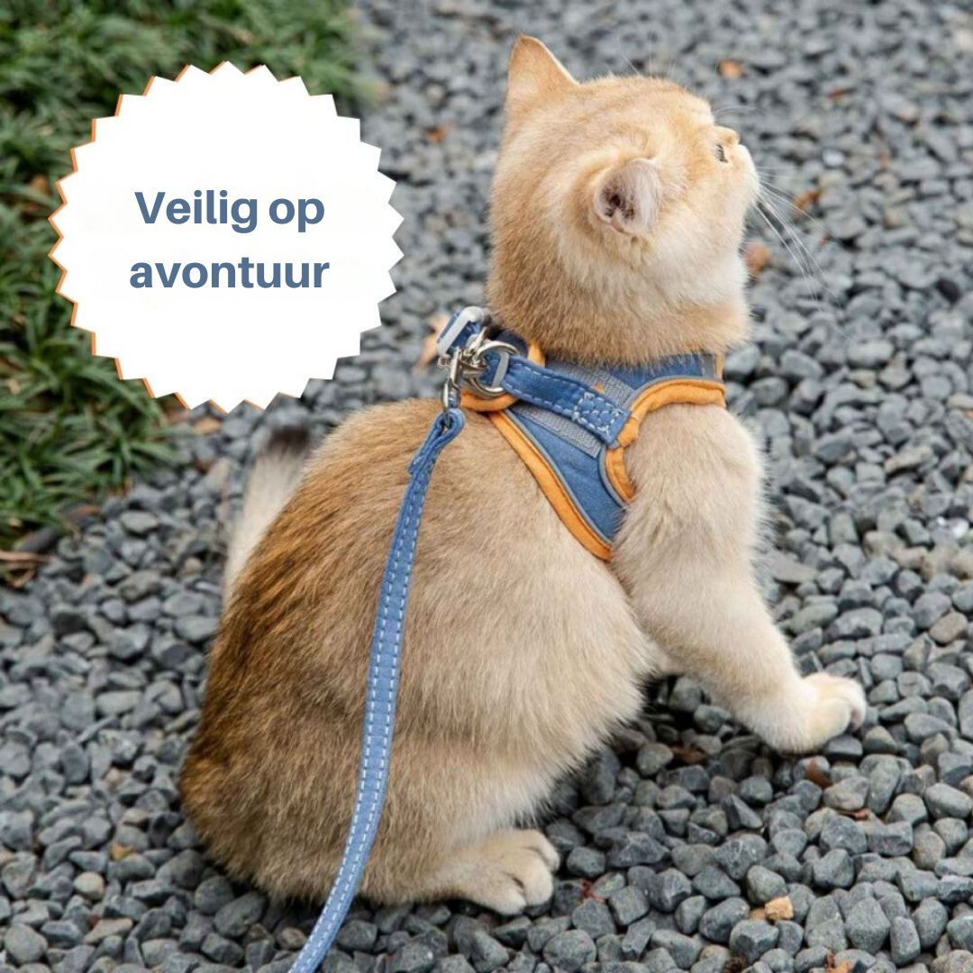 PurrSafe Harness Set | Katten tuigje ontsnappingsvrij met lijn