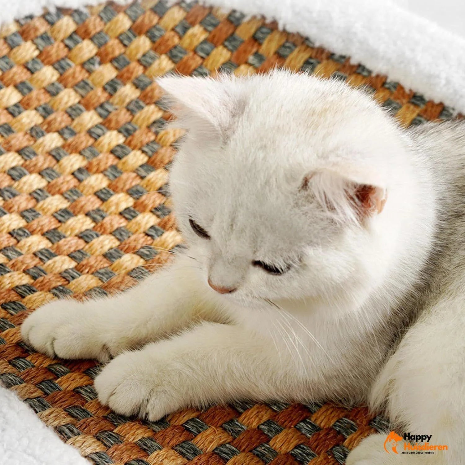 PurrScratch | Duurzaam krabmeubel voor katten – bescherming & ontspanning