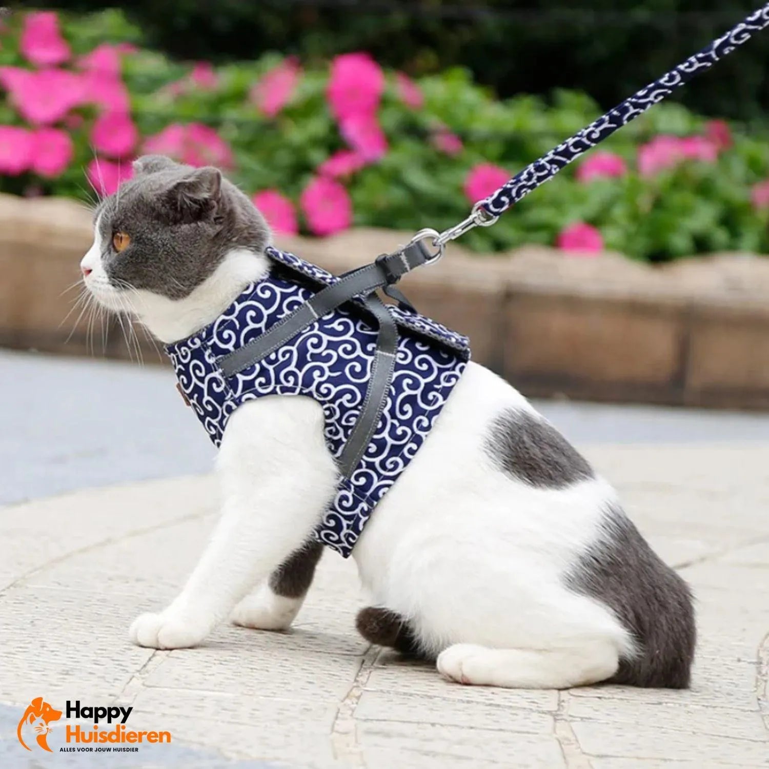 PurrTrail Harness | Verstelbaar kattentuigje voor buiten met ademend ontwerp