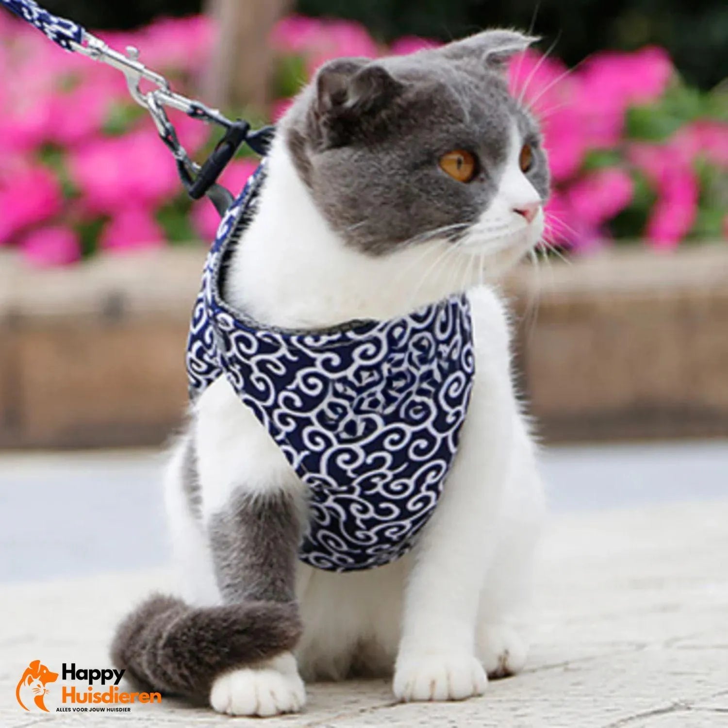 PurrTrail Harness | Verstelbaar kattentuigje voor buiten met ademend ontwerp