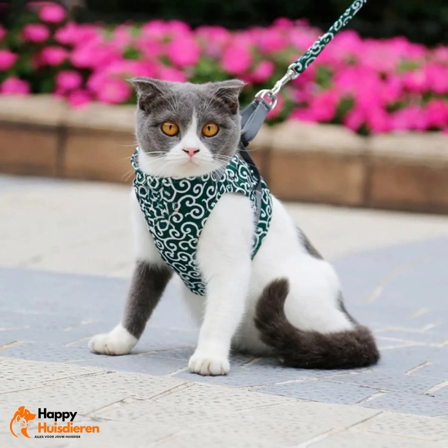 PurrTrail Harness | Verstelbaar kattentuigje voor buiten met ademend ontwerp