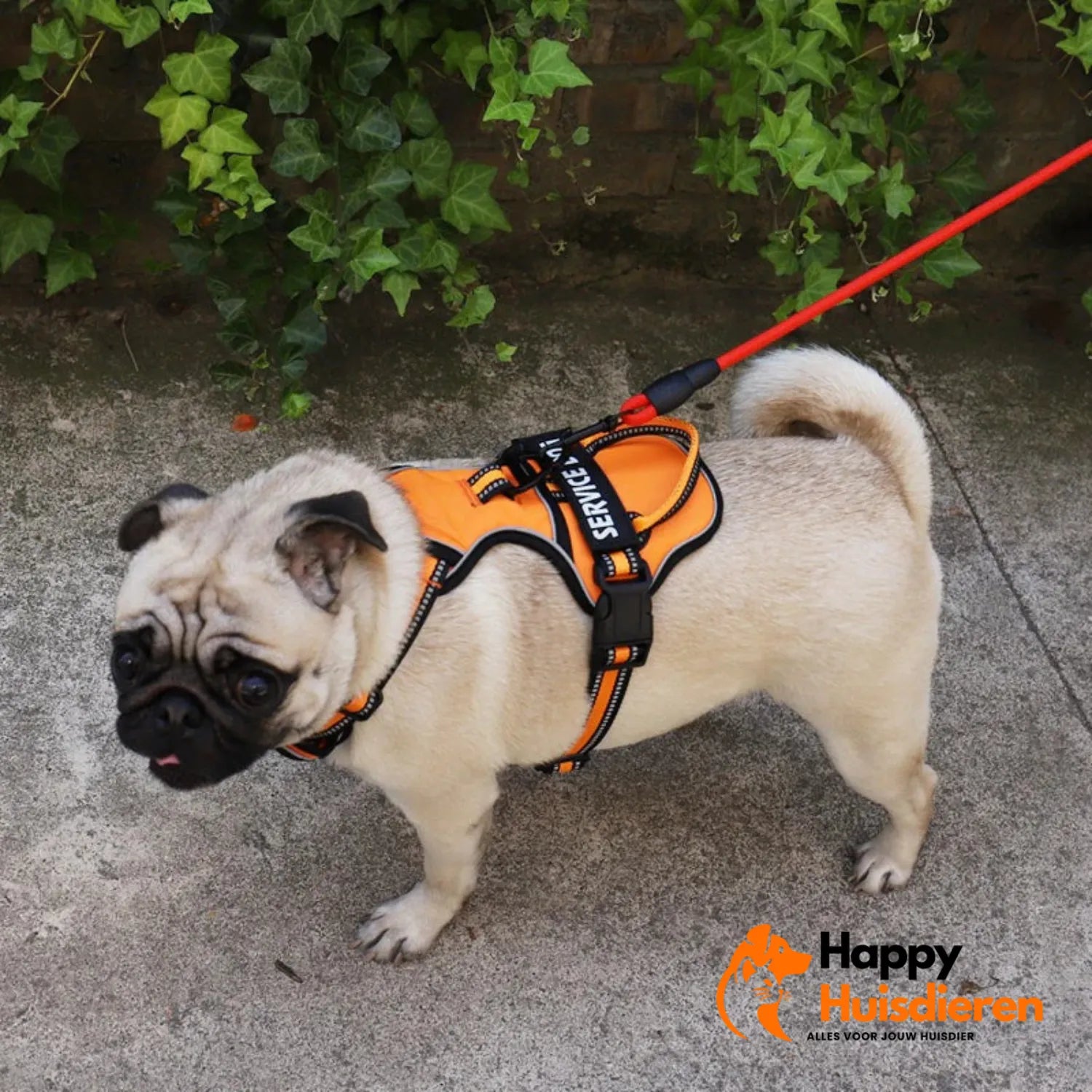 ReflectoID Hondentuig | Gepersonaliseerd Antitrek Tuig met Naamlabel en Reflectie