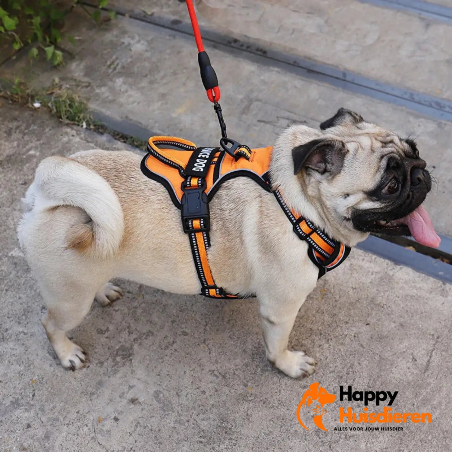 ReflectoID Hondentuig | Gepersonaliseerd Antitrek Tuig met Naamlabel en Reflectie