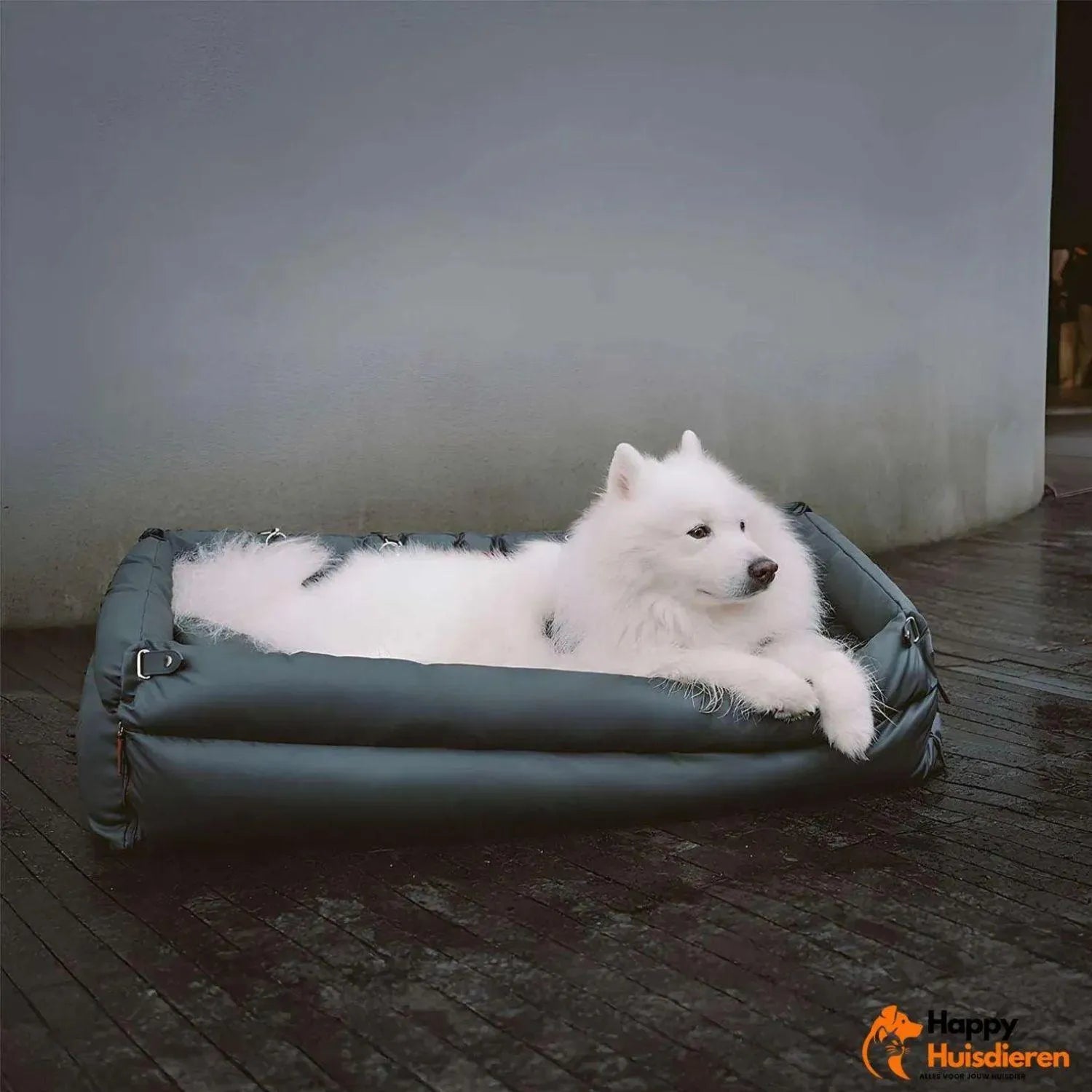 Reisgenoot voor huisdieren | Grote kunstleren autostoel voor honden met verhoogd zitcomfort