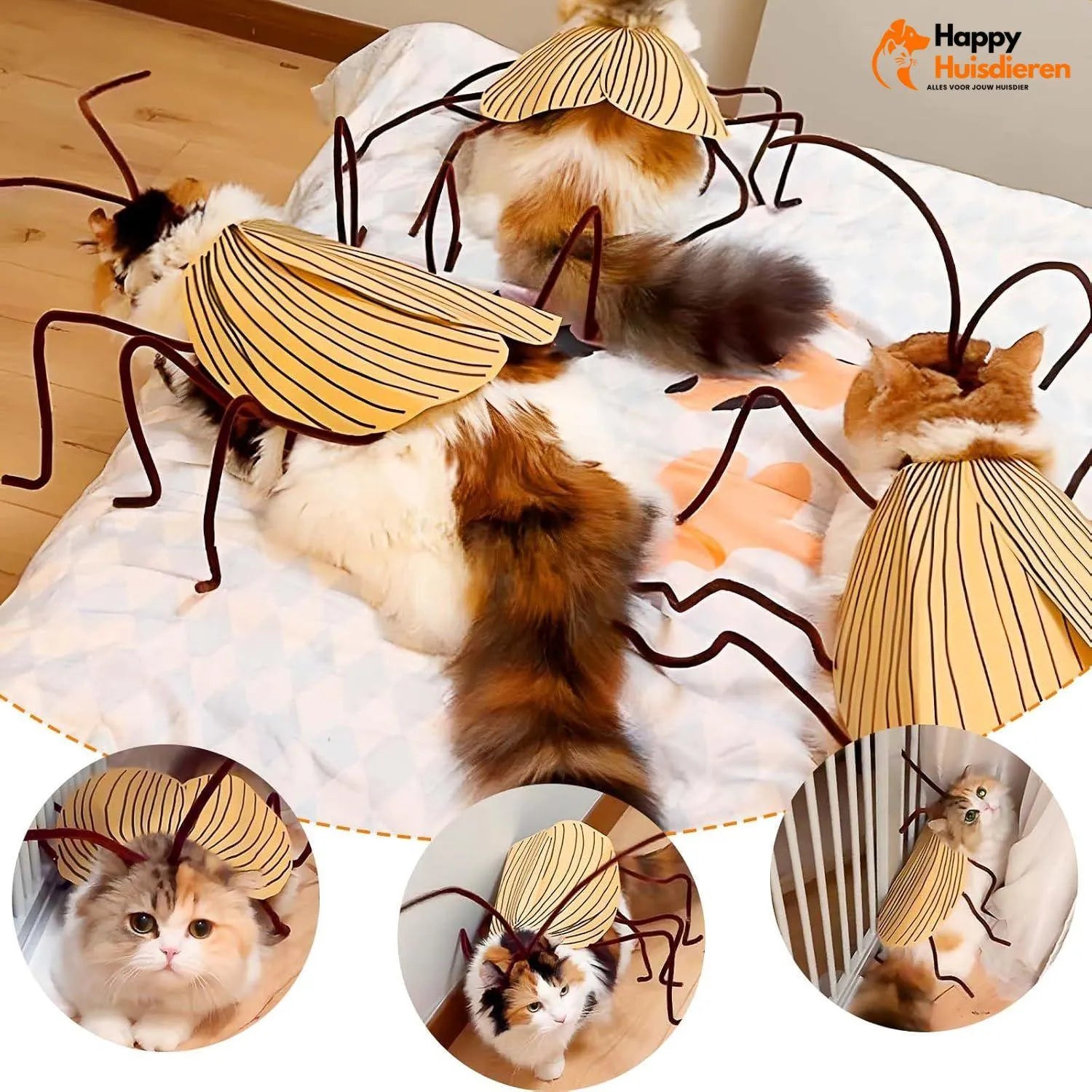 RoachCat Kostuum | Hilarisch kattenkostuum – ultralicht & perfect voor fotoshoots