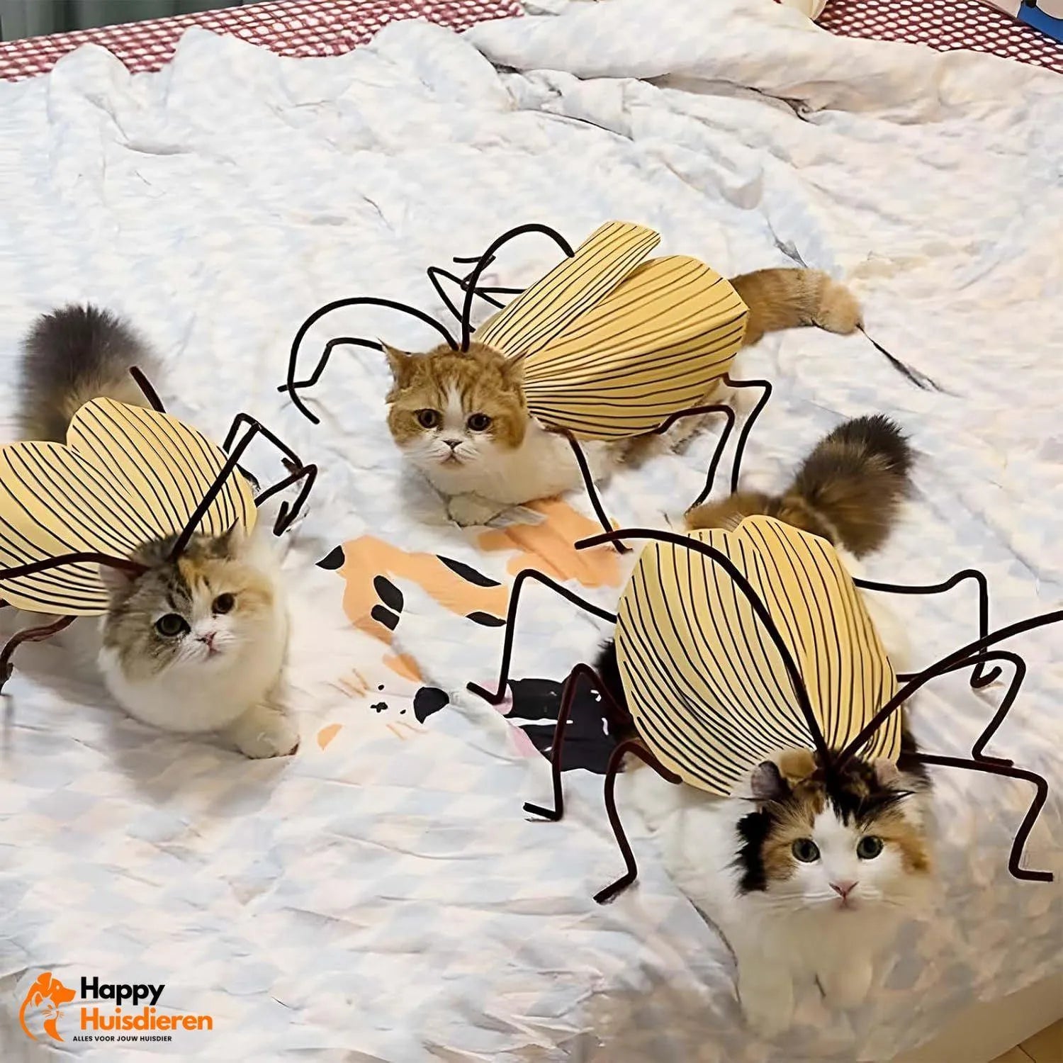 RoachCat Kostuum | Hilarisch kattenkostuum – ultralicht & perfect voor fotoshoots