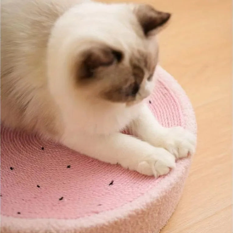 Ruby | Krabpaal Kat voor Sterke Klauwen