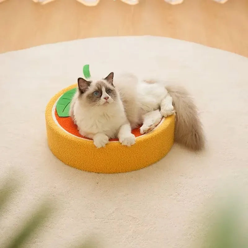 Ruby | Krabpaal Kat voor Sterke Klauwen