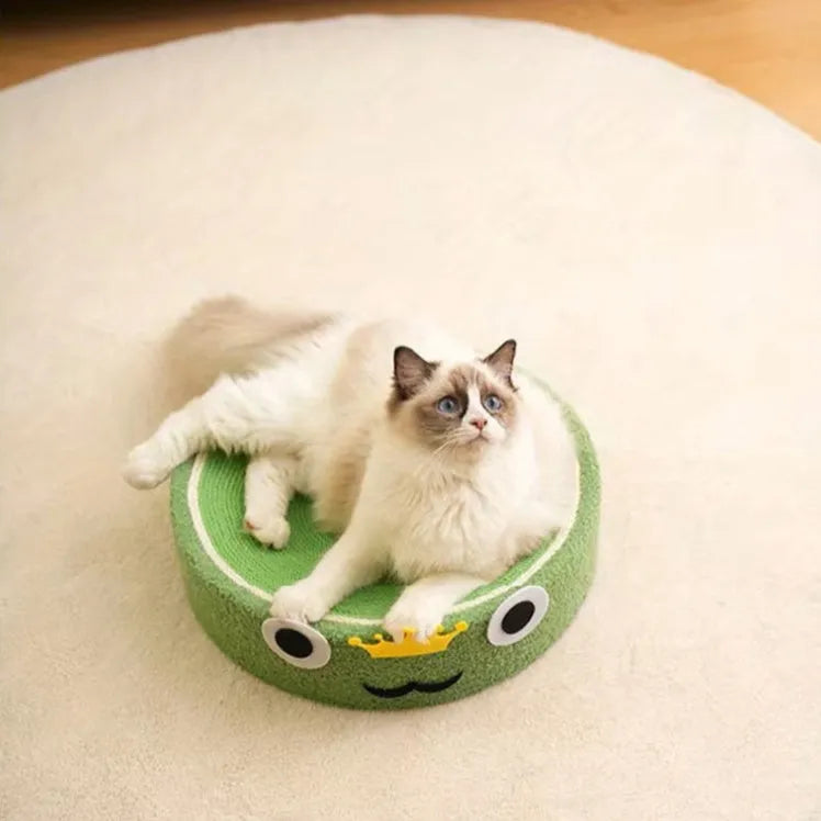 Ruby | Krabpaal Kat voor Sterke Klauwen