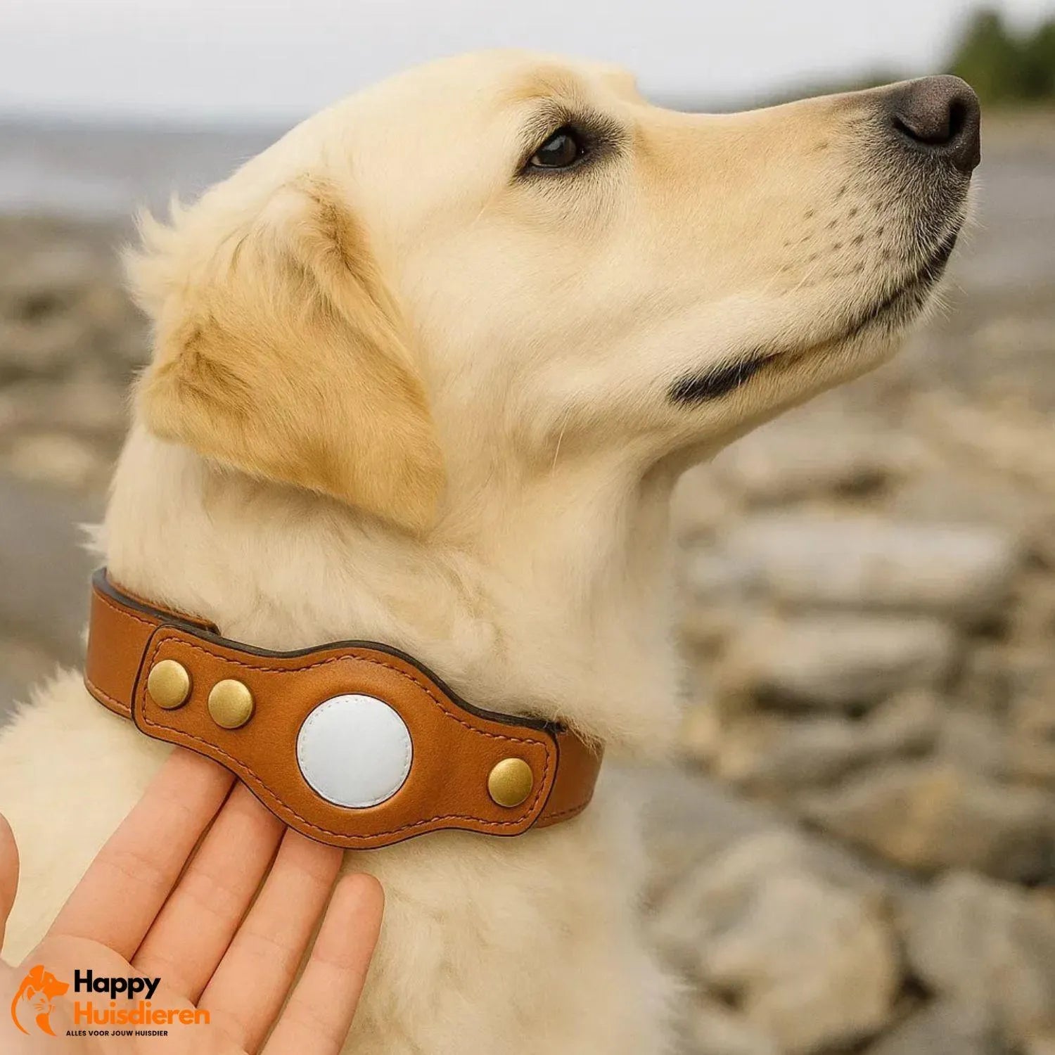 SafeTrack Collar | AirTag hondenhalsband met zachte voering & veilige houder