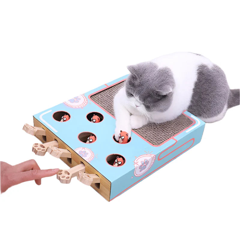 Simba | Krab- en Speelmat voor katten