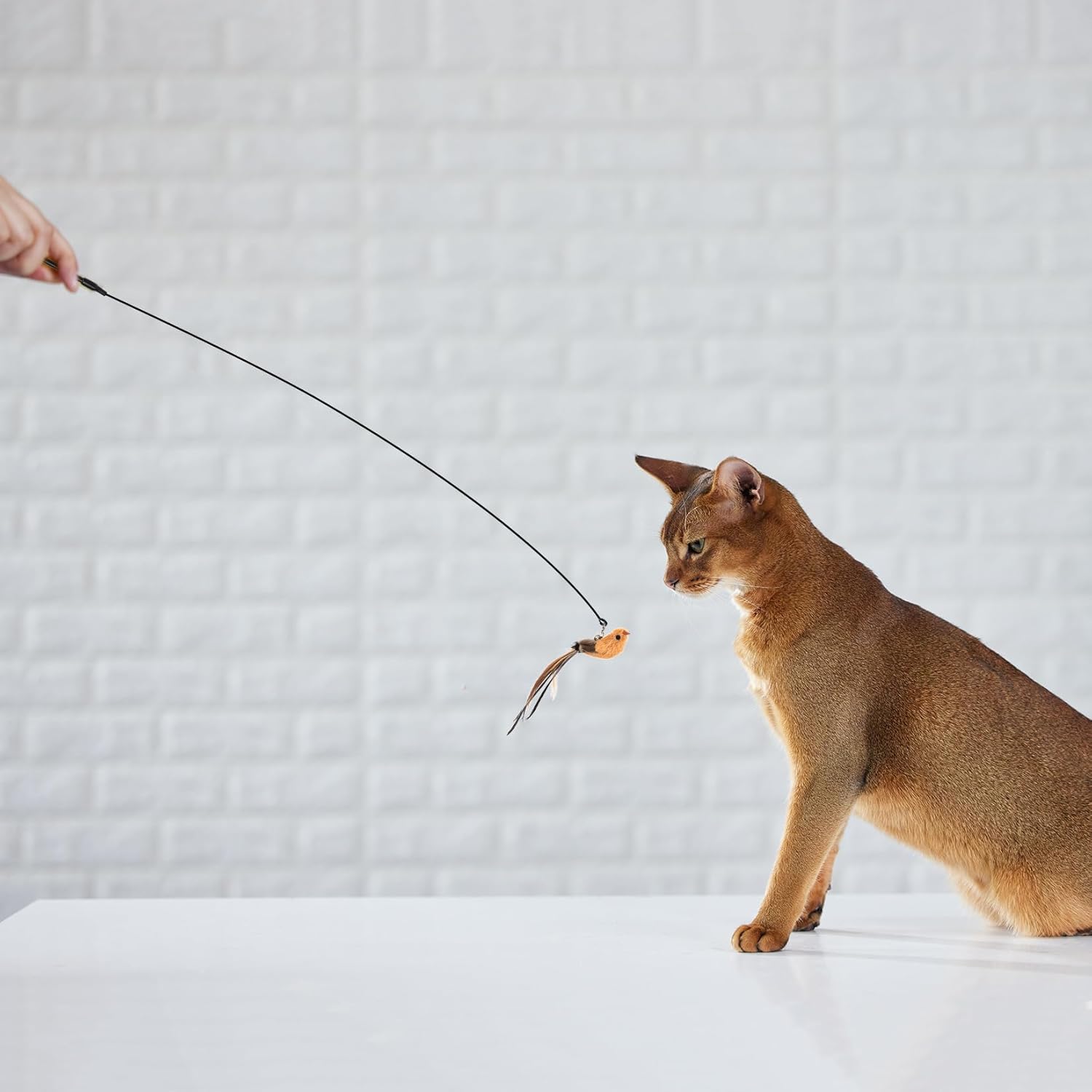 SkyChase Kattenspeelset | 2 Interactieve Hengels met Zuignap voor Actief Spel