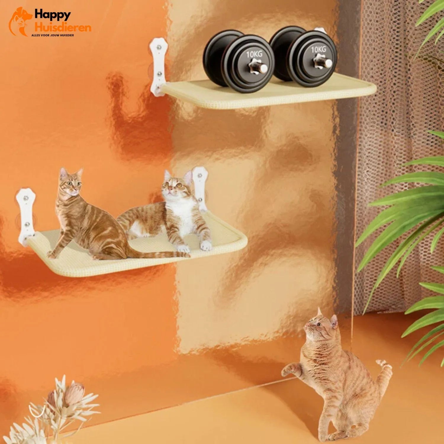 SkyView Hammock | Kattenhangmat voor raam – stevig, wasbaar & ruimtebesparend