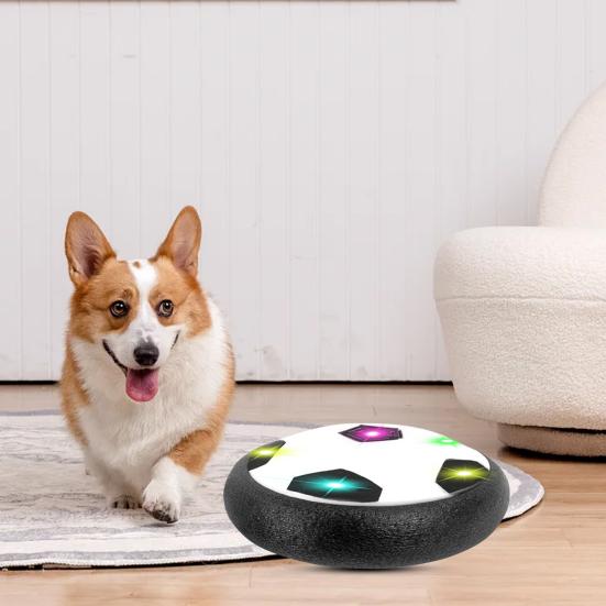 ZoomPlay | Slim hondenspeeltje tegen verveling en energieoverschot