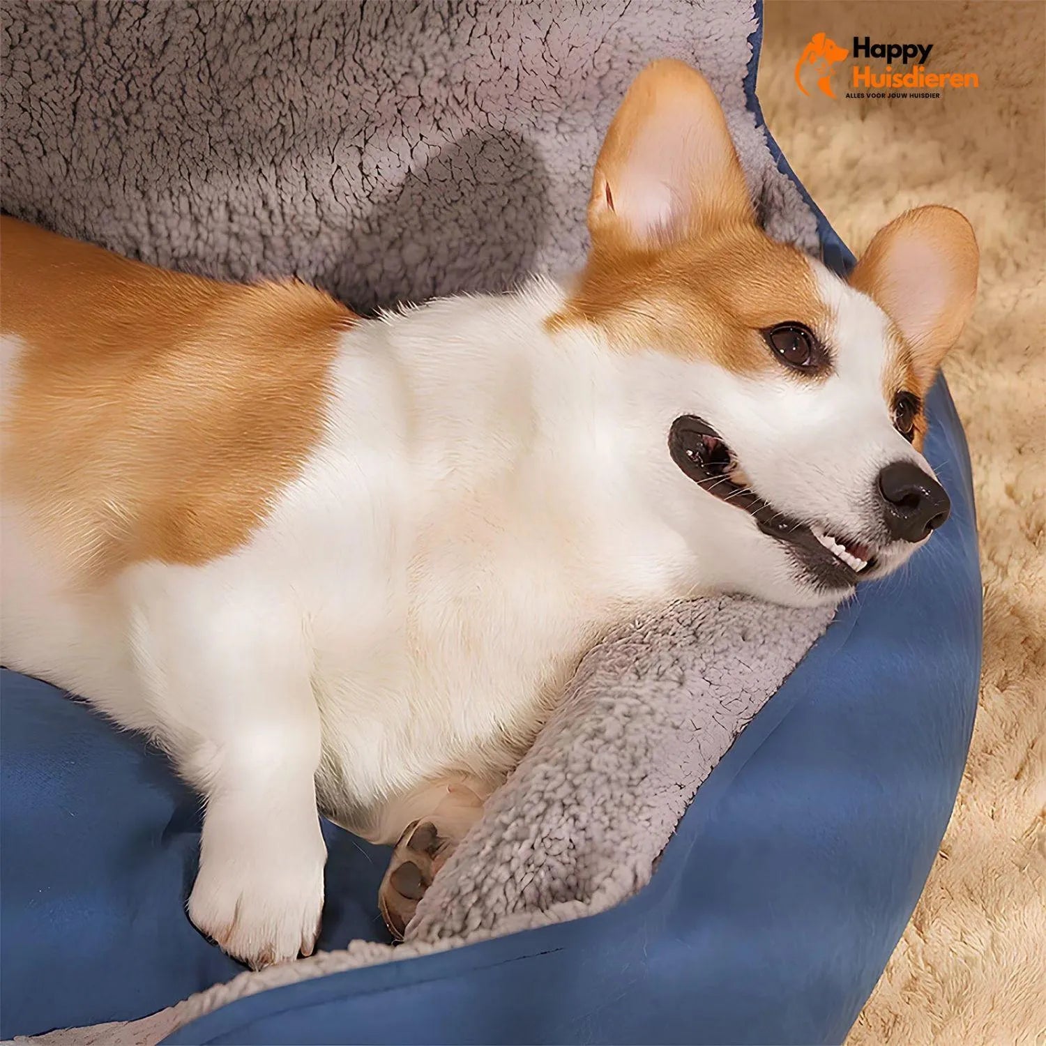 TailRest Couch | Luxe Honden Sofa met Stevige Leuning