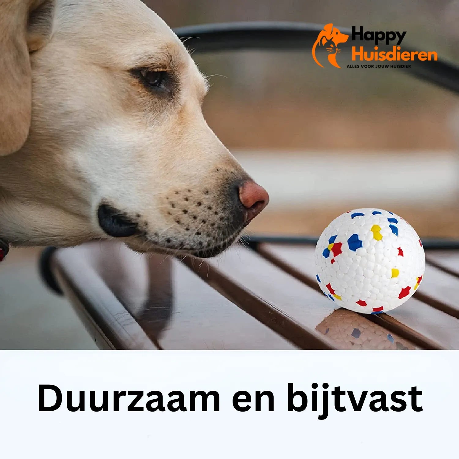 ToughBall | Duurzame Kauwbal voor Honden – Veilig & Tandverzorgend