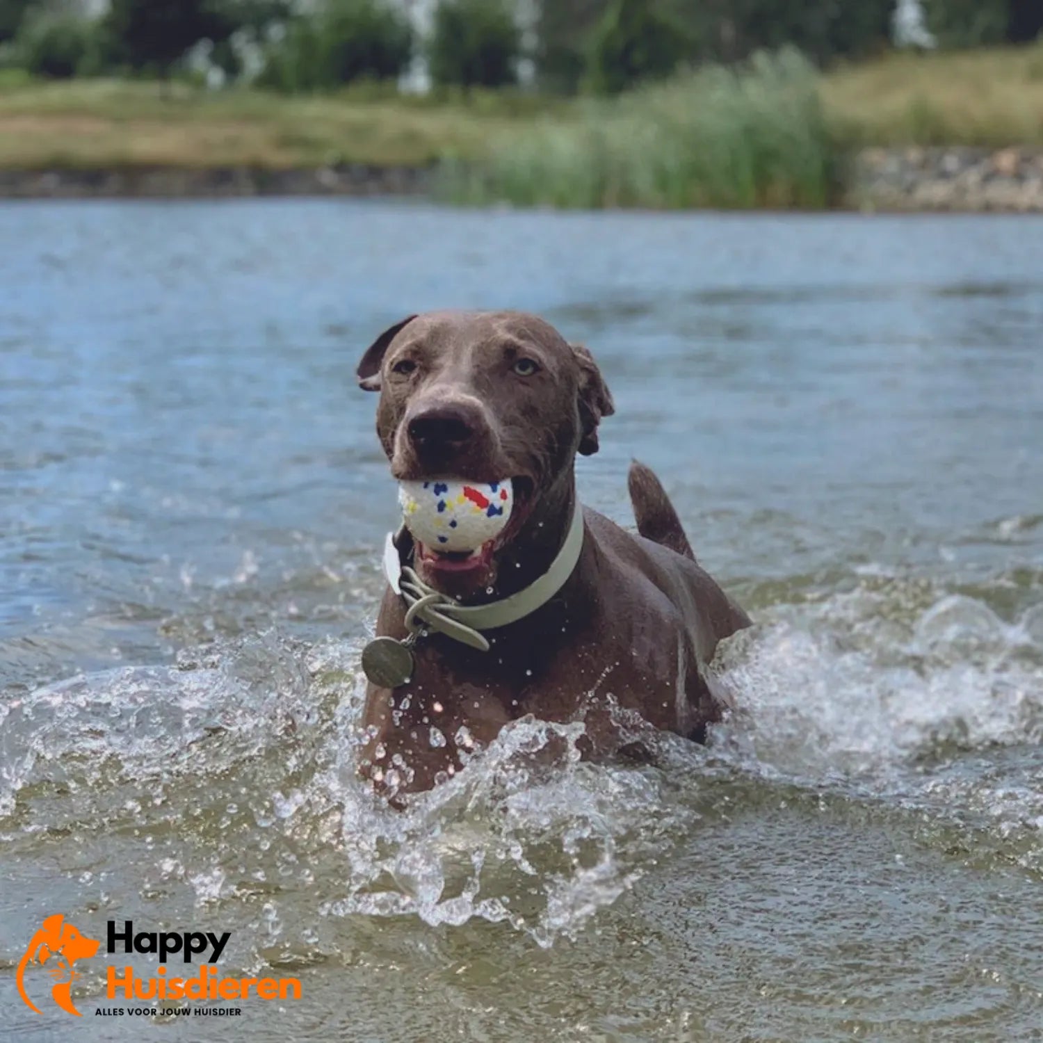ToughBall | Duurzame Kauwbal voor Honden – Veilig & Tandverzorgend
