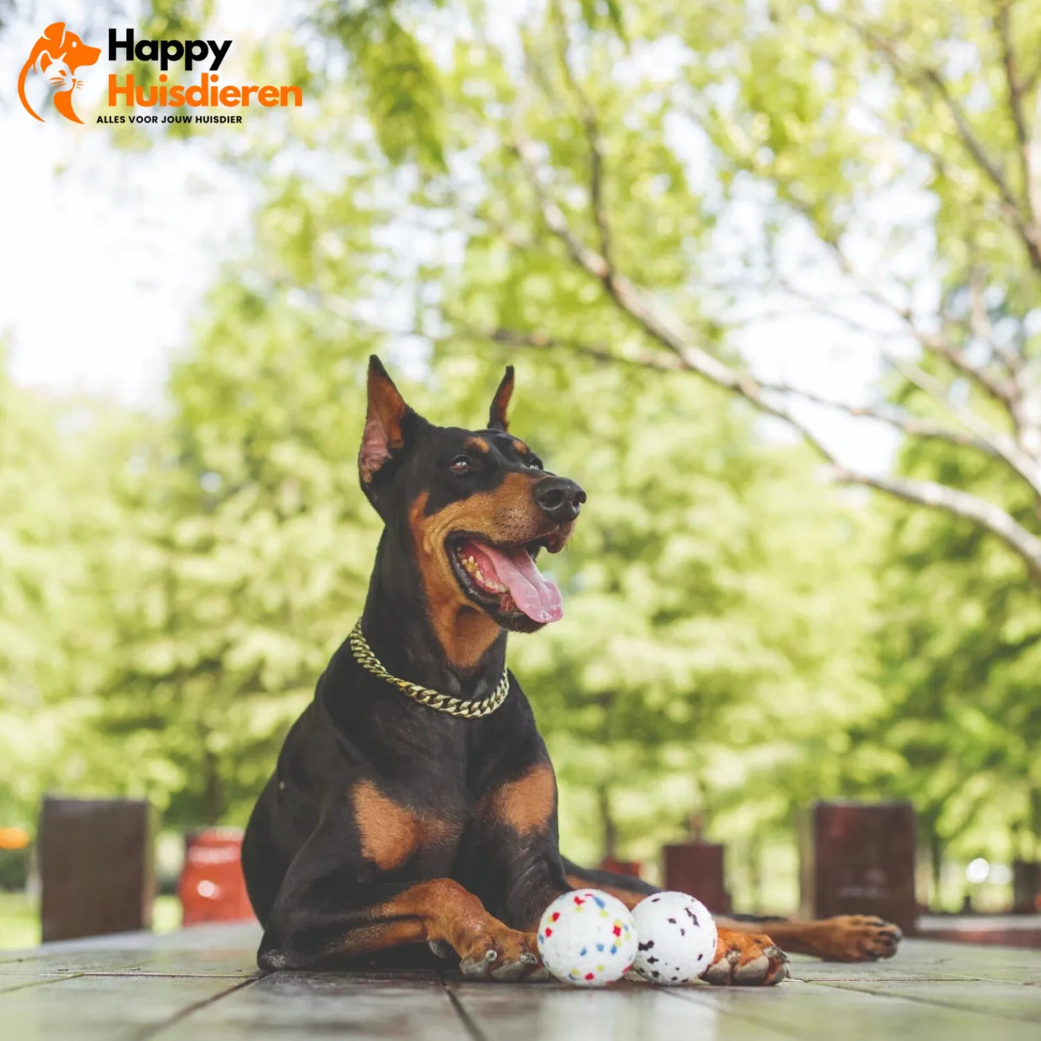 ToughBall | Duurzame Kauwbal voor Honden – Veilig & Tandverzorgend