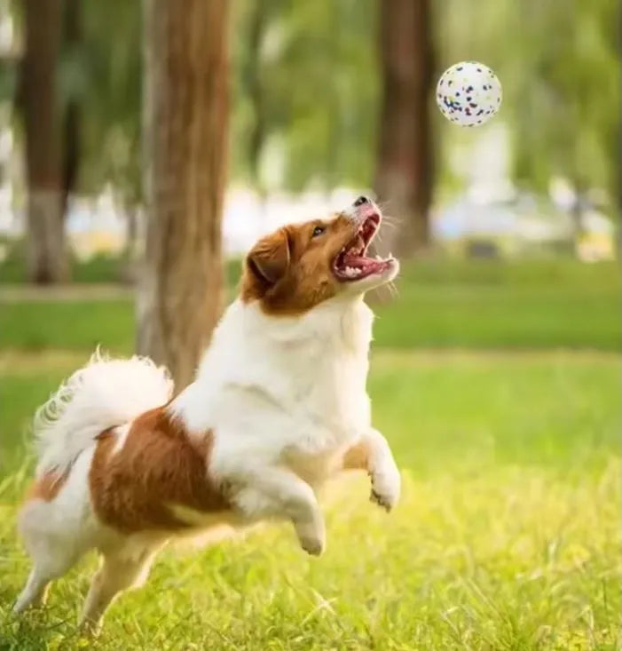 ToughBall | Duurzame Kauwbal voor Honden – Veilig & Tandverzorgend
