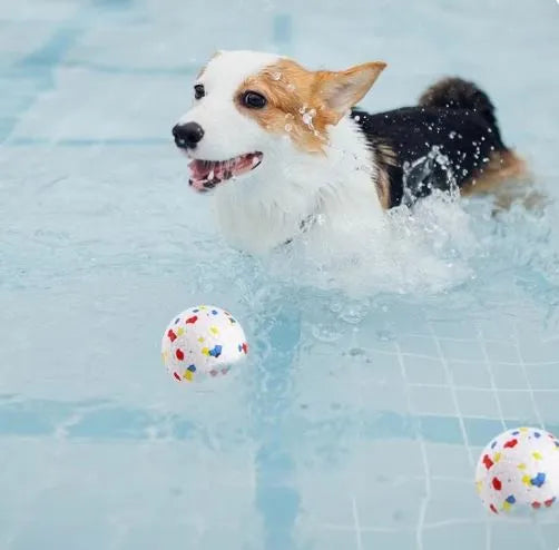 ToughBall | Duurzame Kauwbal voor Honden – Veilig & Tandverzorgend