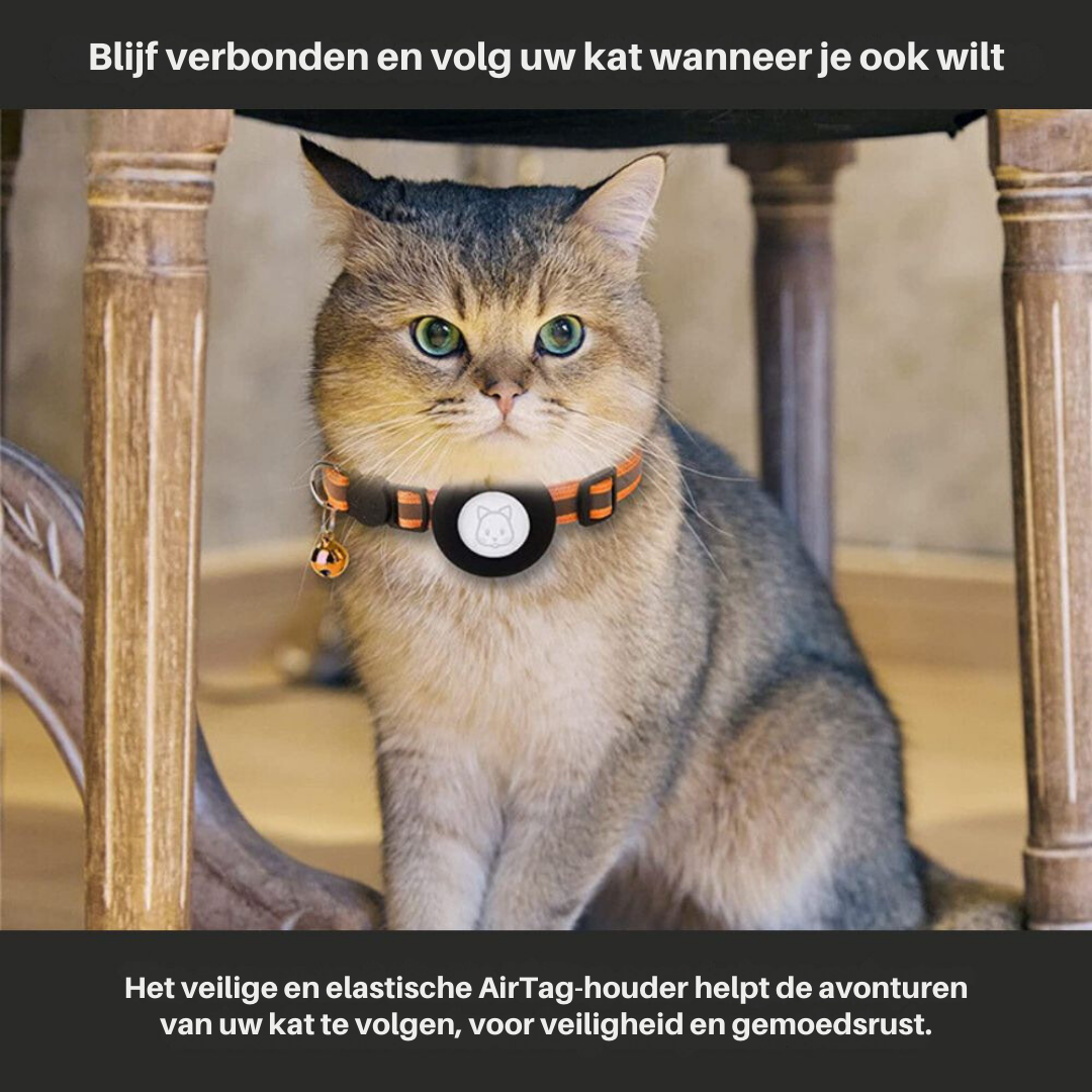TrackTail Collar | Katten GPS halsband met veiligheidsluiting