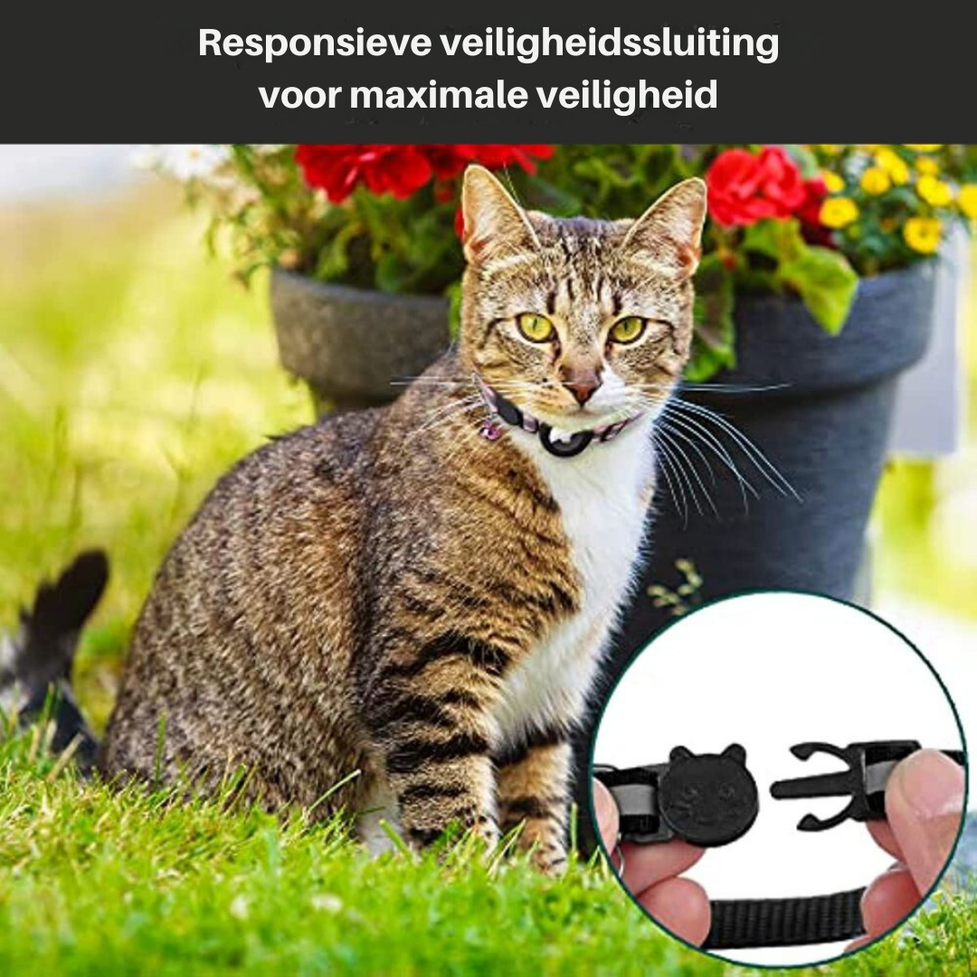 TrackTail Collar | Katten GPS halsband met veiligheidsluiting