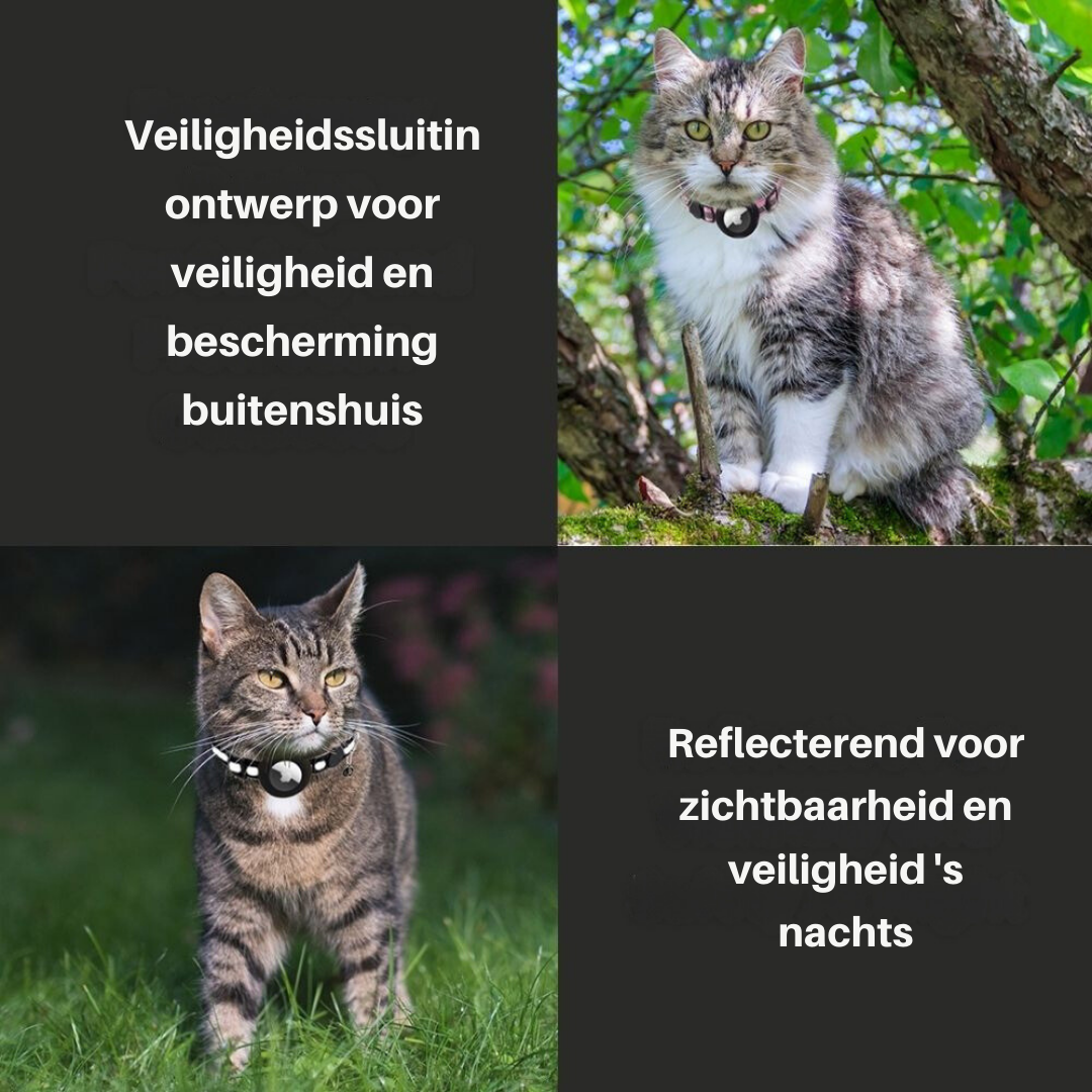 TrackTail Collar | Katten GPS halsband met veiligheidsluiting