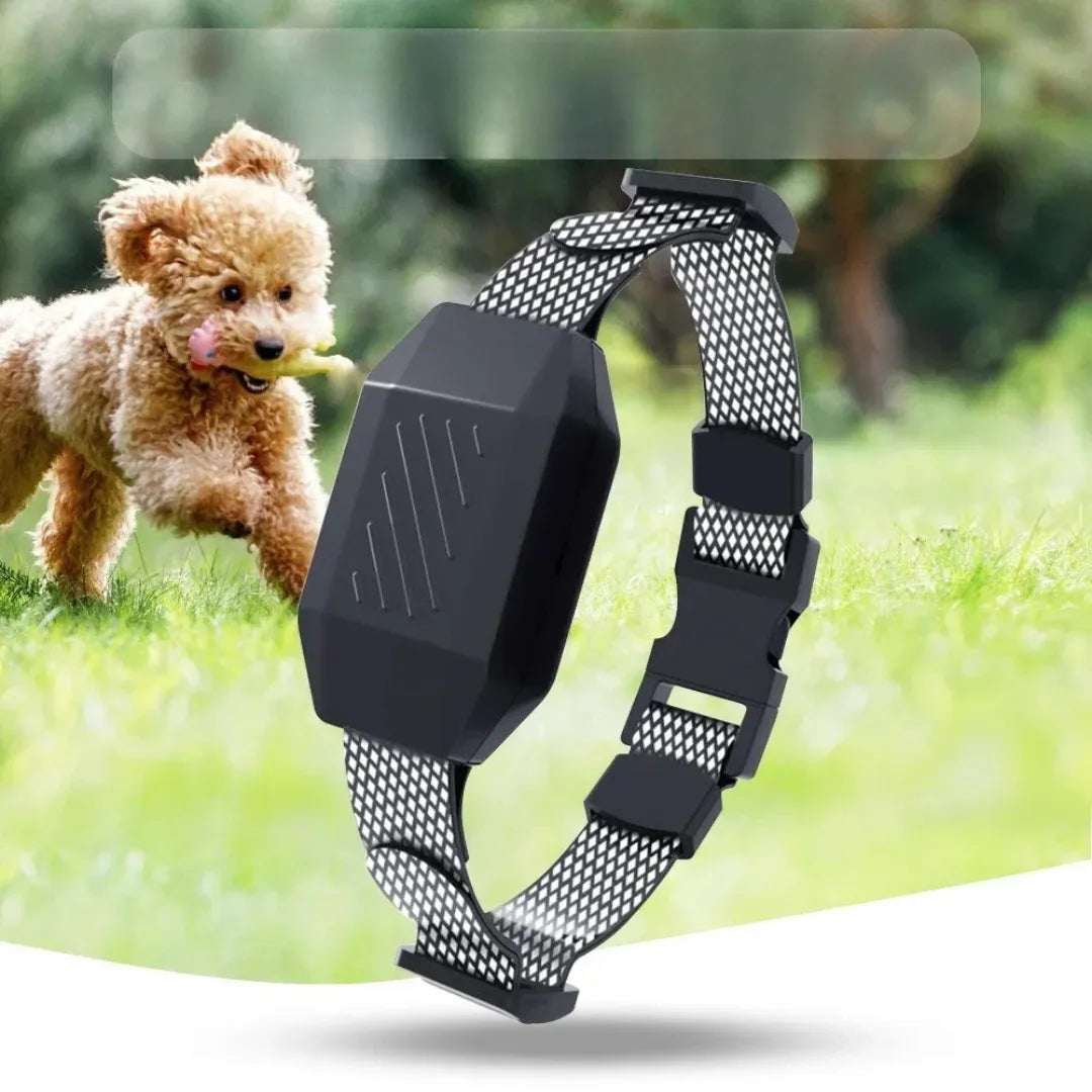 TrainPro | Diervriendelijke Trainingshalsband met Afstandsbediening en Verstelbaar - Groot Bereik