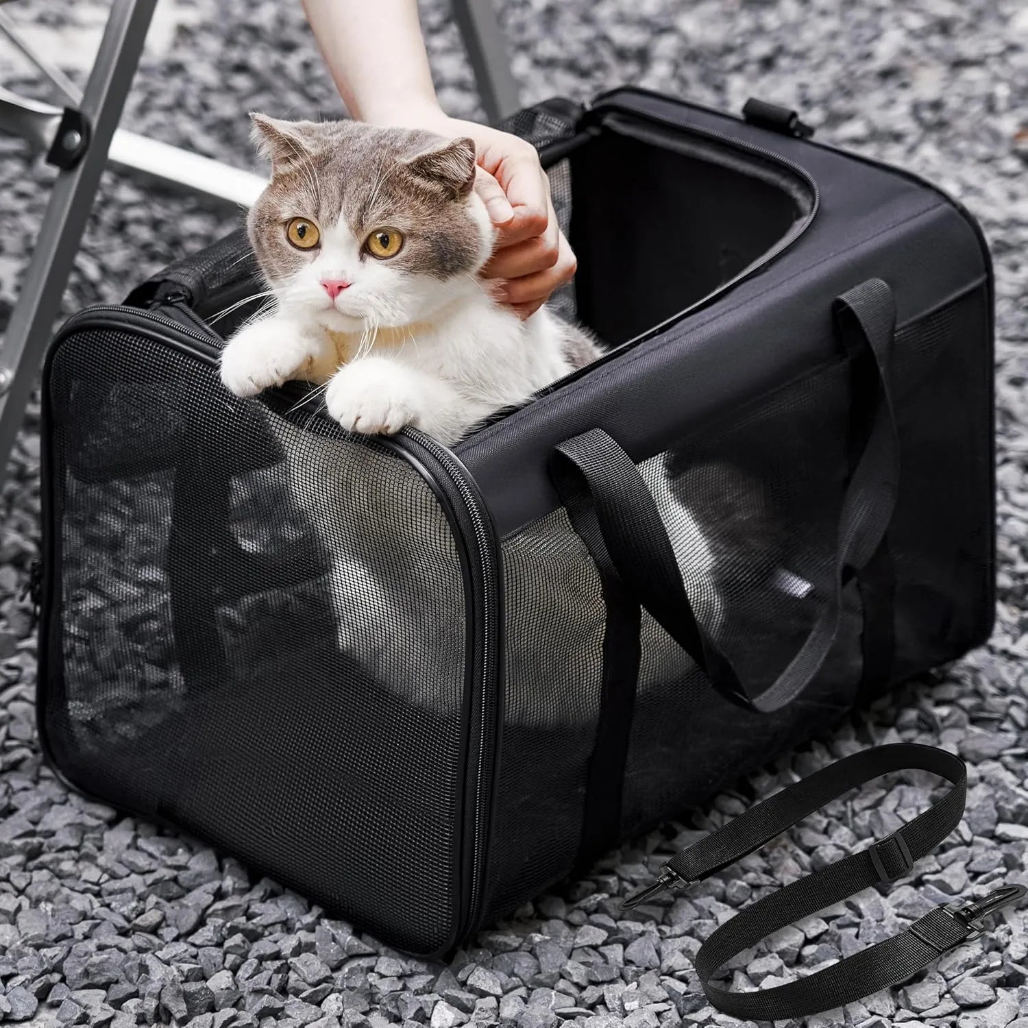TravelPaw Draagtas | Opvouwbare Lichtgewicht Huisdierdrager voor Honden en Katten