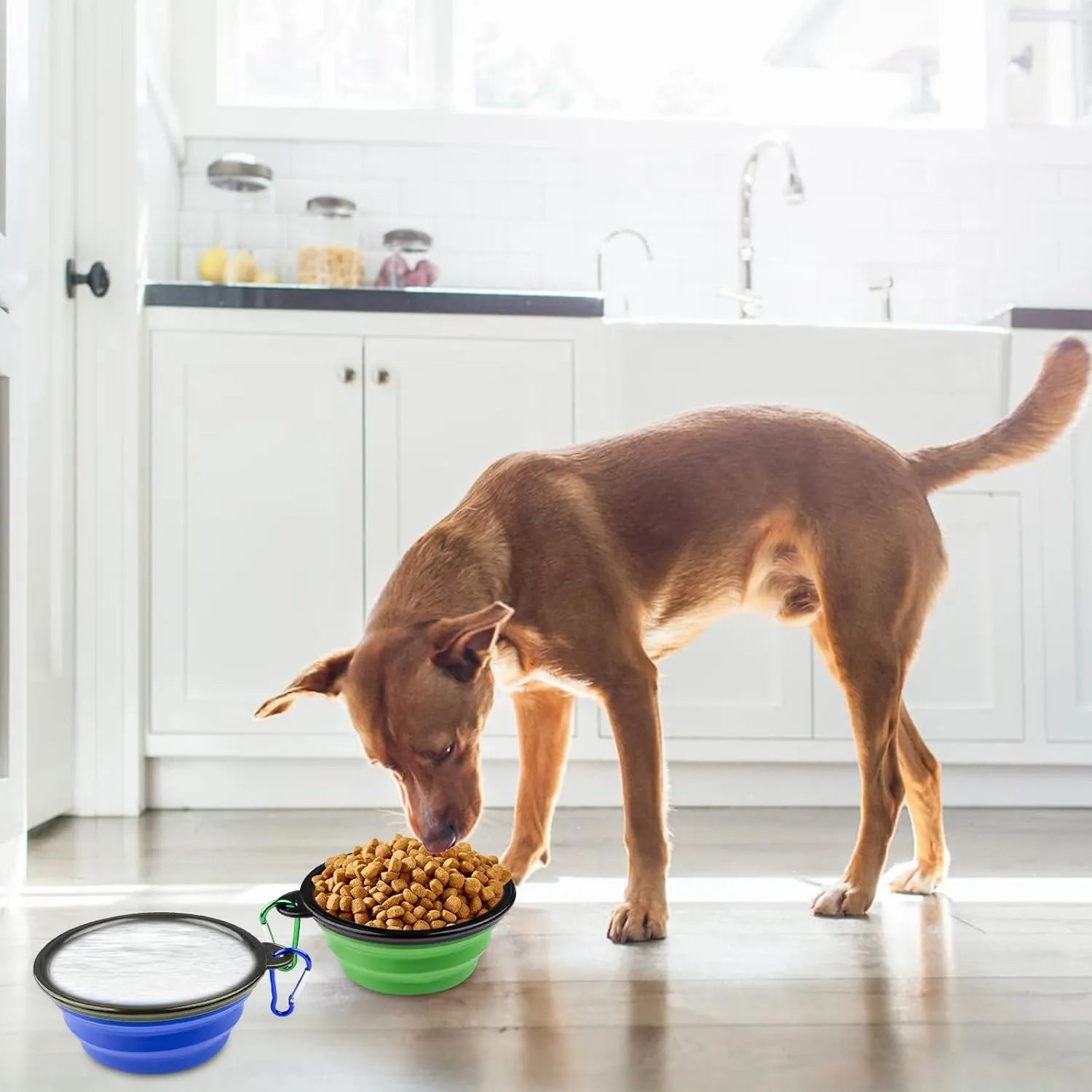 TravelPaws Drinkbak | Opvouwbare Reis Kom voor Honden en Katten