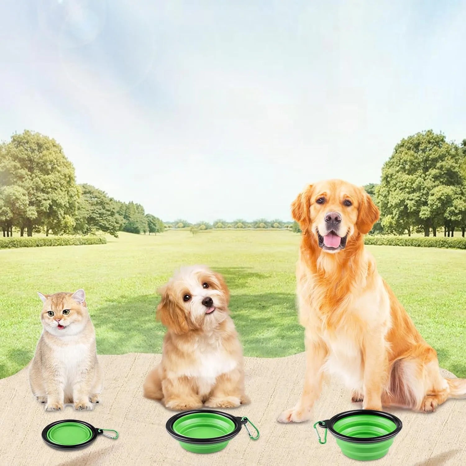 TravelPaws Drinkbak | Opvouwbare Reis Kom voor Honden en Katten