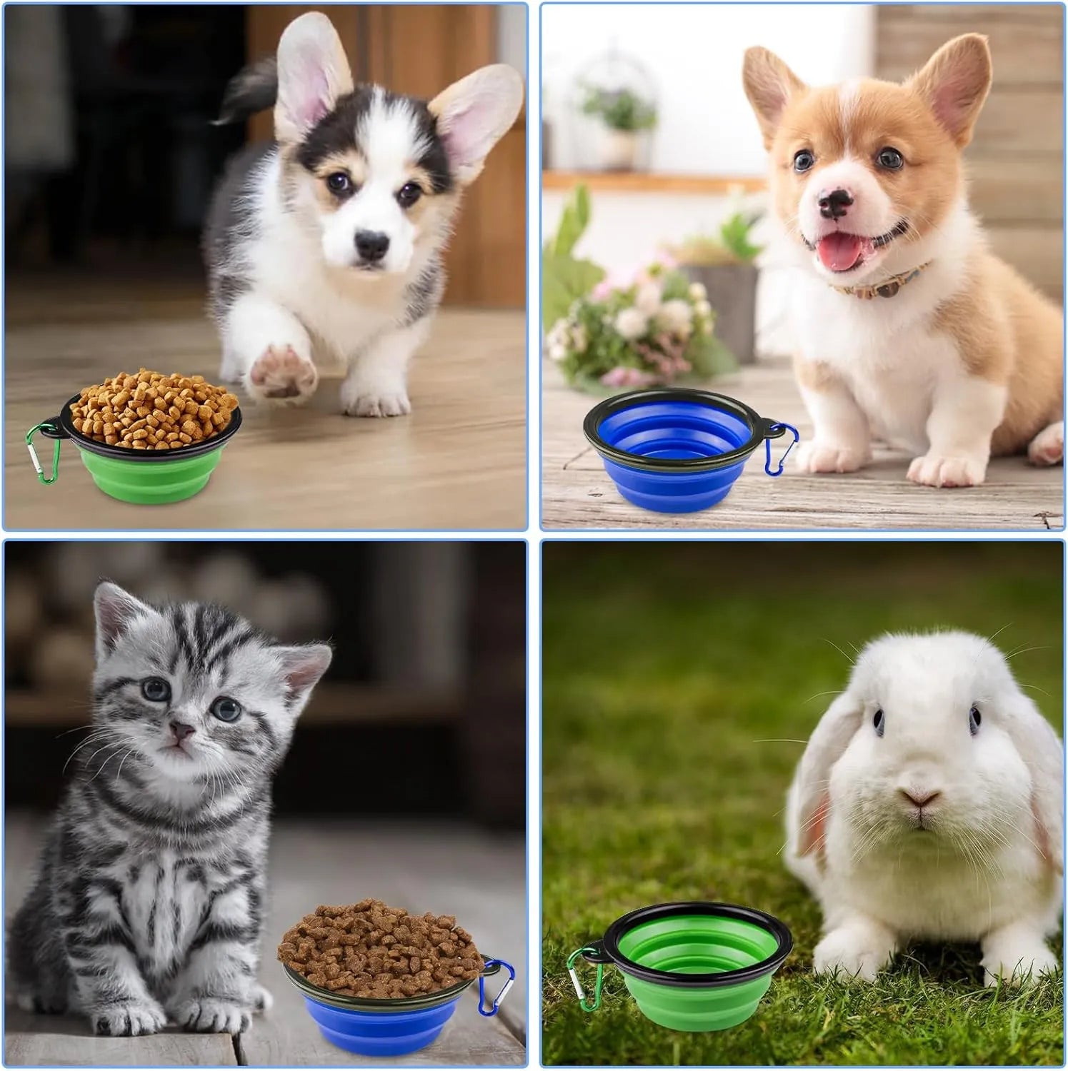 TravelPaws Drinkbak | Opvouwbare Reis Kom voor Honden en Katten