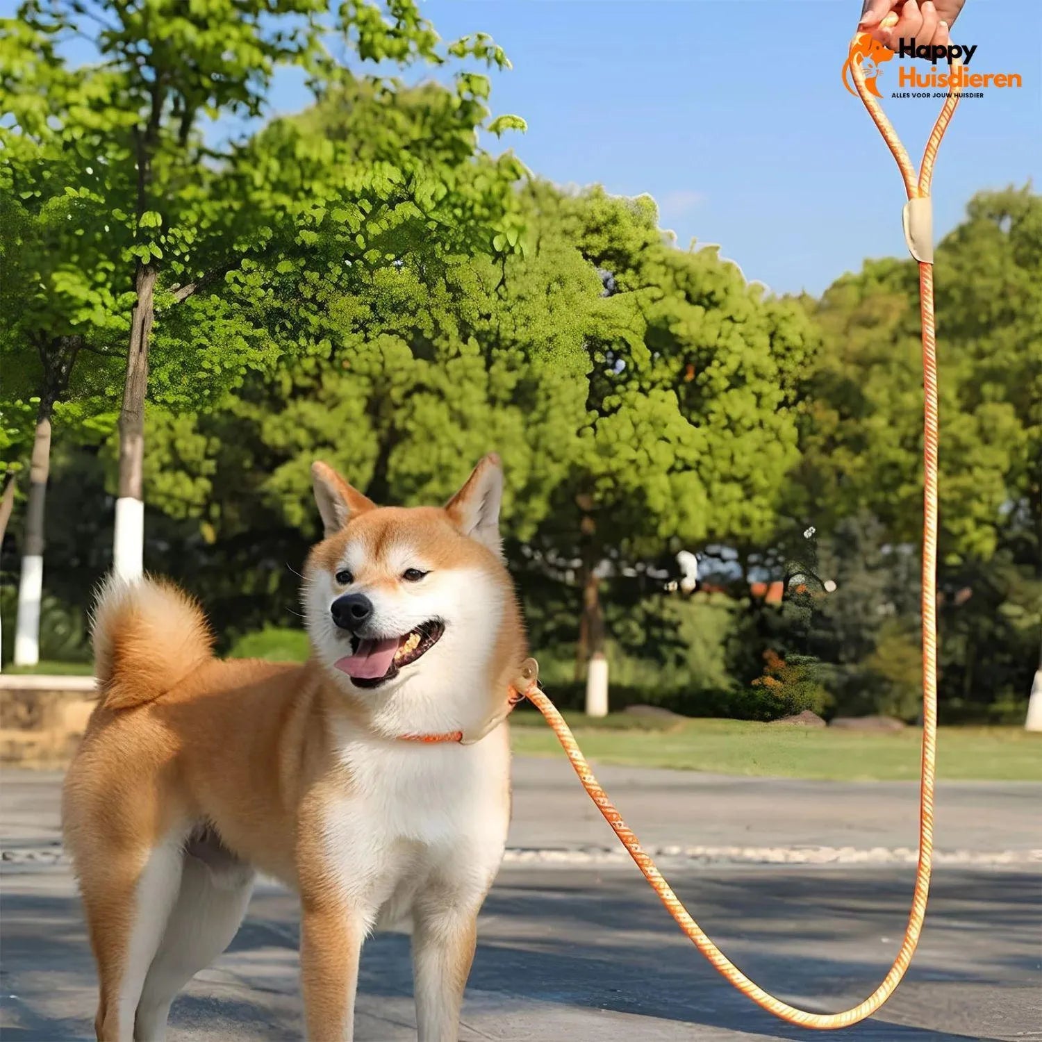 Veiligheidslijn Krachtig | Explosiebestendige Nylon Hondriem zonder Trekken