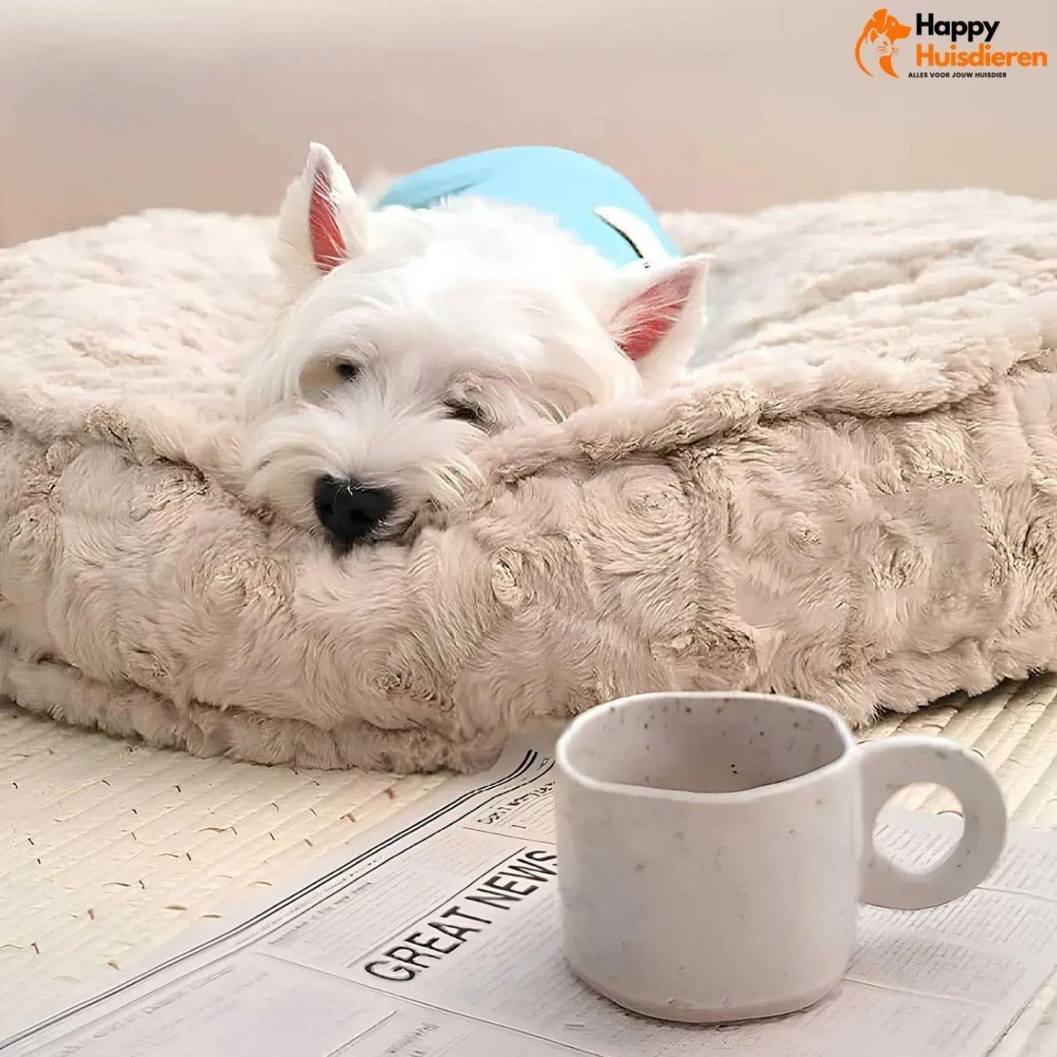 WoofRest Bed | Kalmerend Slaapplekje voor Katten en Honden