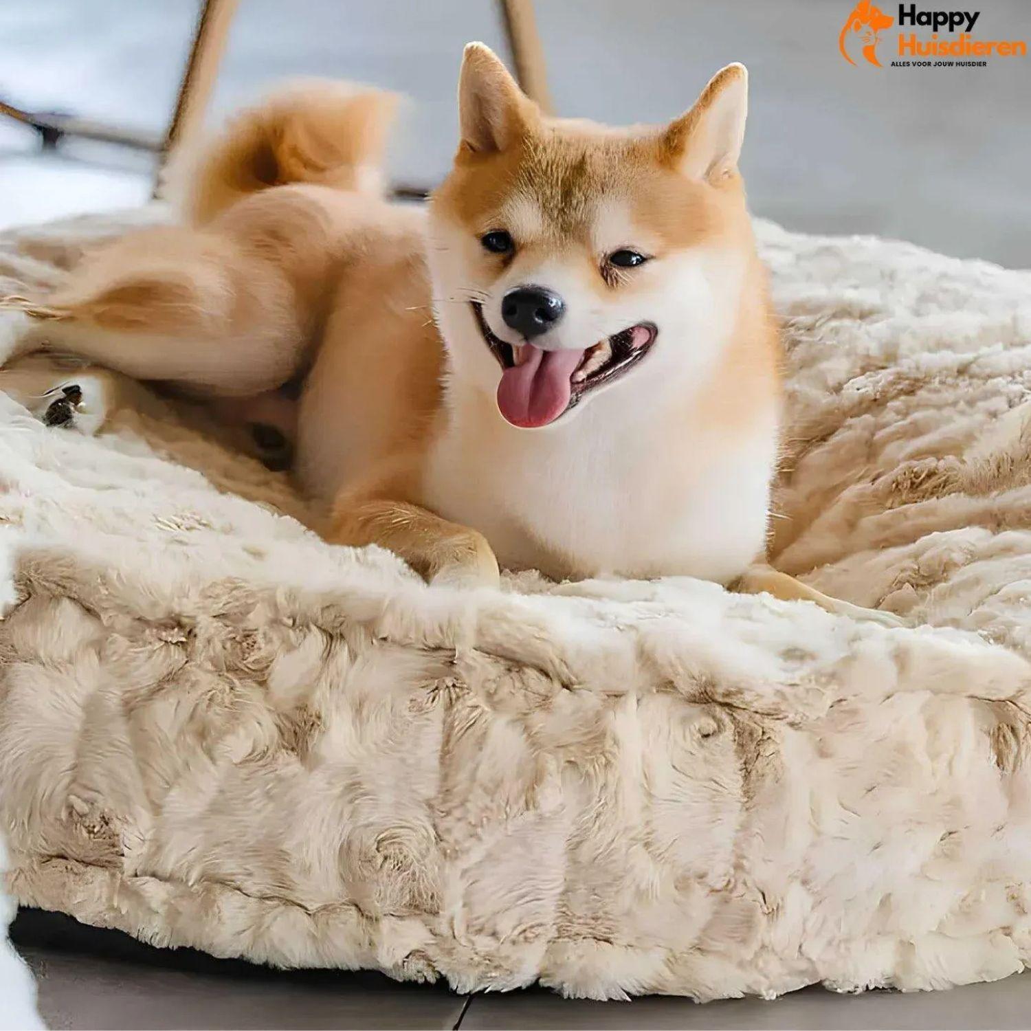 WoofRest Bed | Kalmerend Slaapplekje voor Katten en Honden