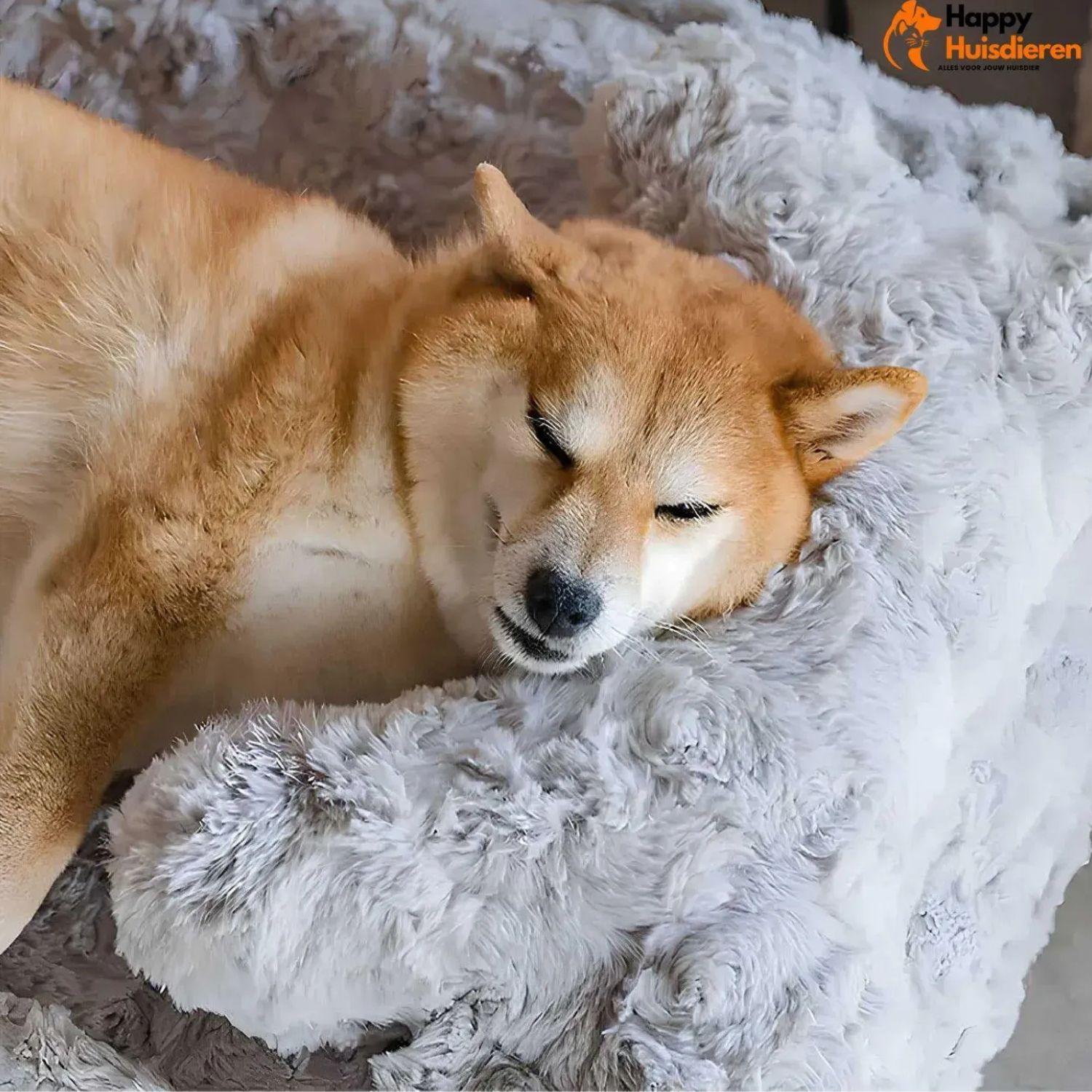 WoofRest Bed | Kalmerend Slaapplekje voor Katten en Honden
