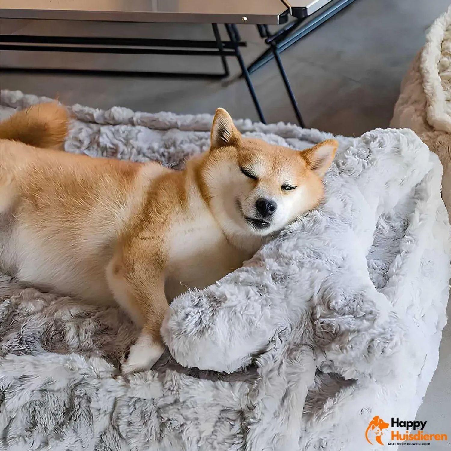 WoofRest Bed | Kalmerend Slaapplekje voor Katten en Honden