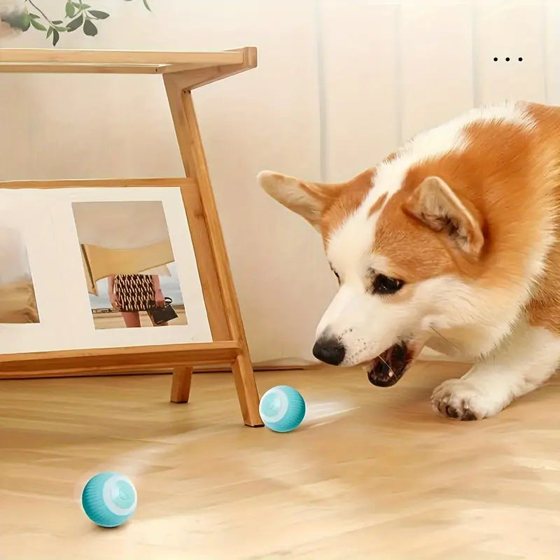ZapZoom | Interactief speeltje voor honden en katten – oplaadbaar